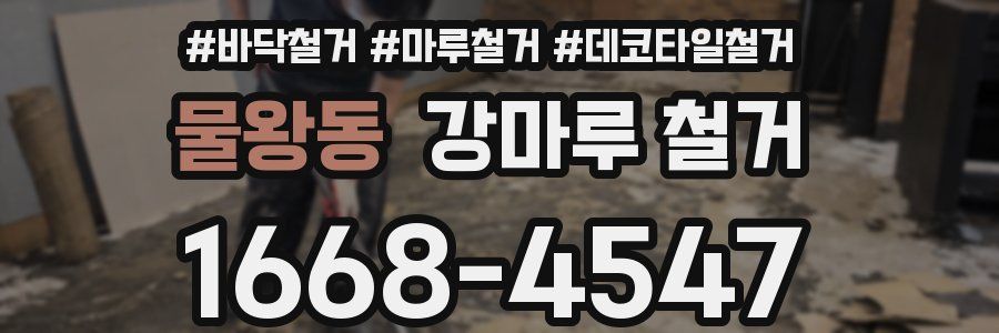 물왕동 강마루 철거