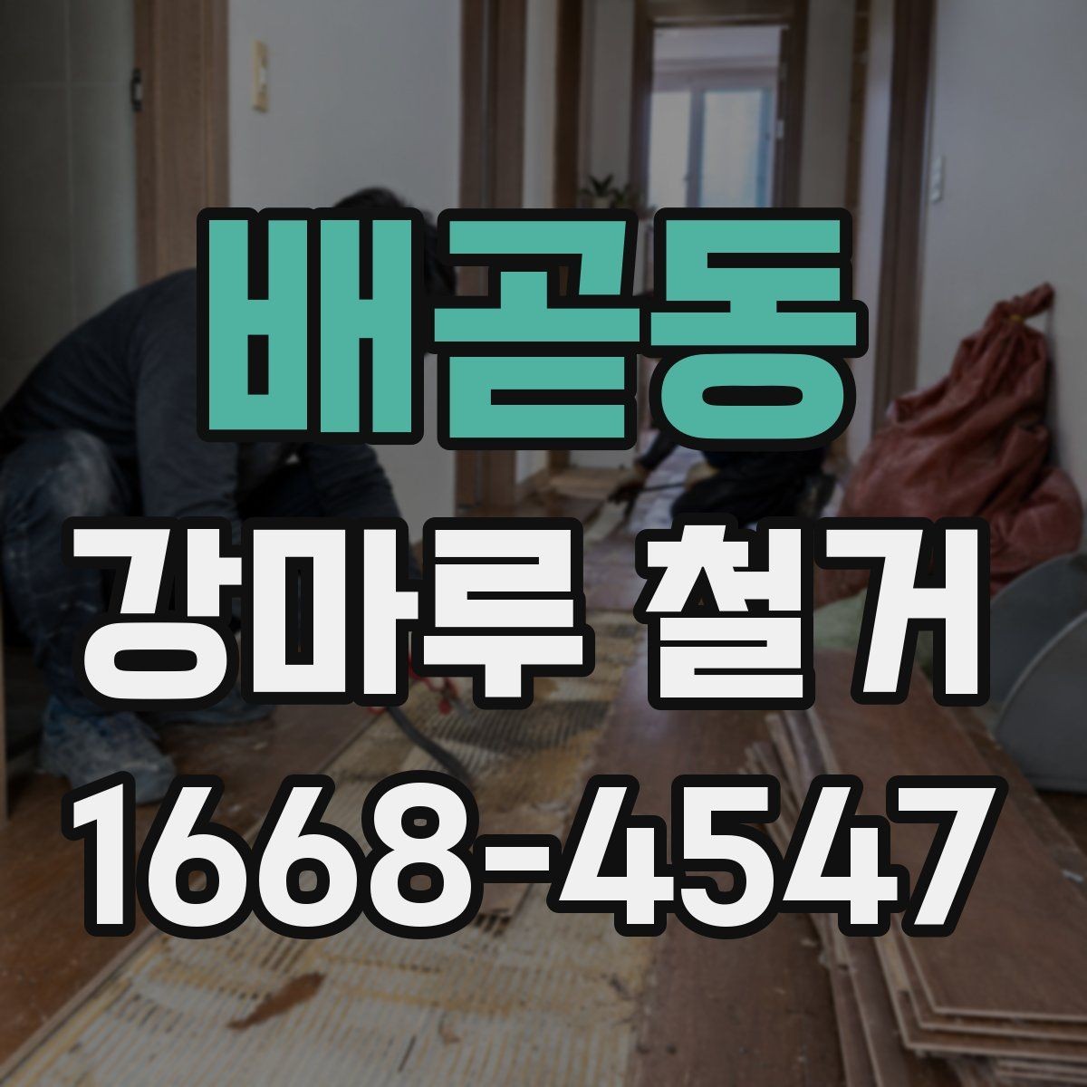 배곧동 강마루 철거 진행 전 계약서에서 볼 부분