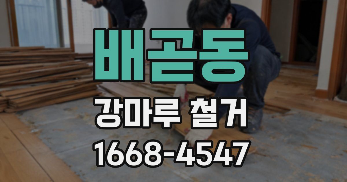 배곧동 강마루 철거