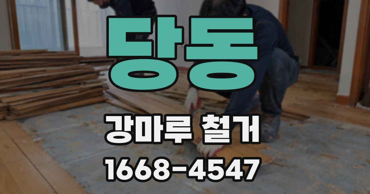 당동 강마루 철거