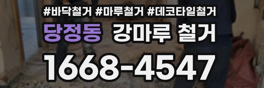 당정동 강마루 철거
