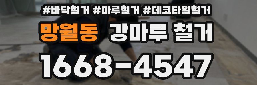 망월동 강마루 철거