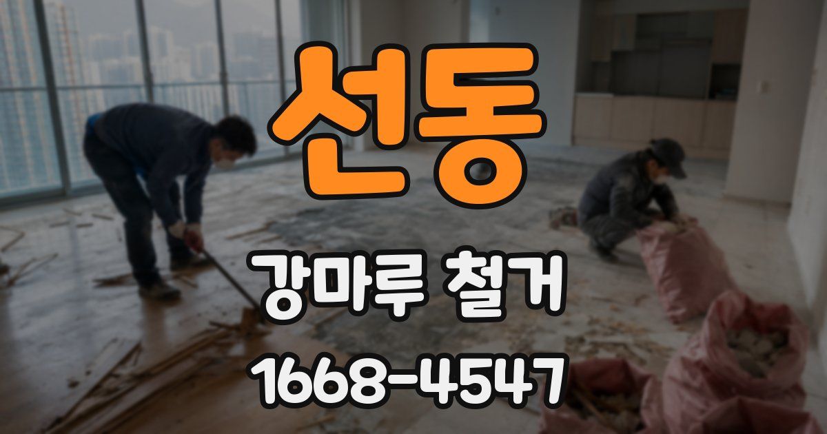 선동 강마루 철거