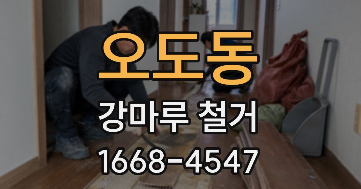 오도동 강마루 철거