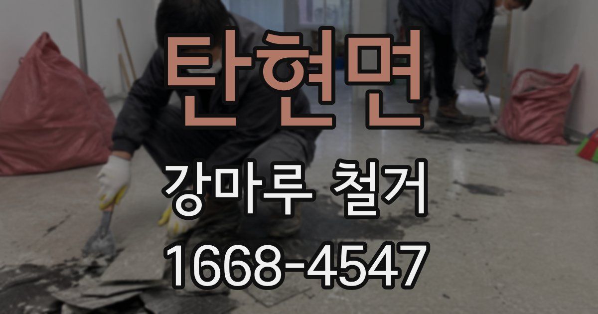탄현면 강마루 철거