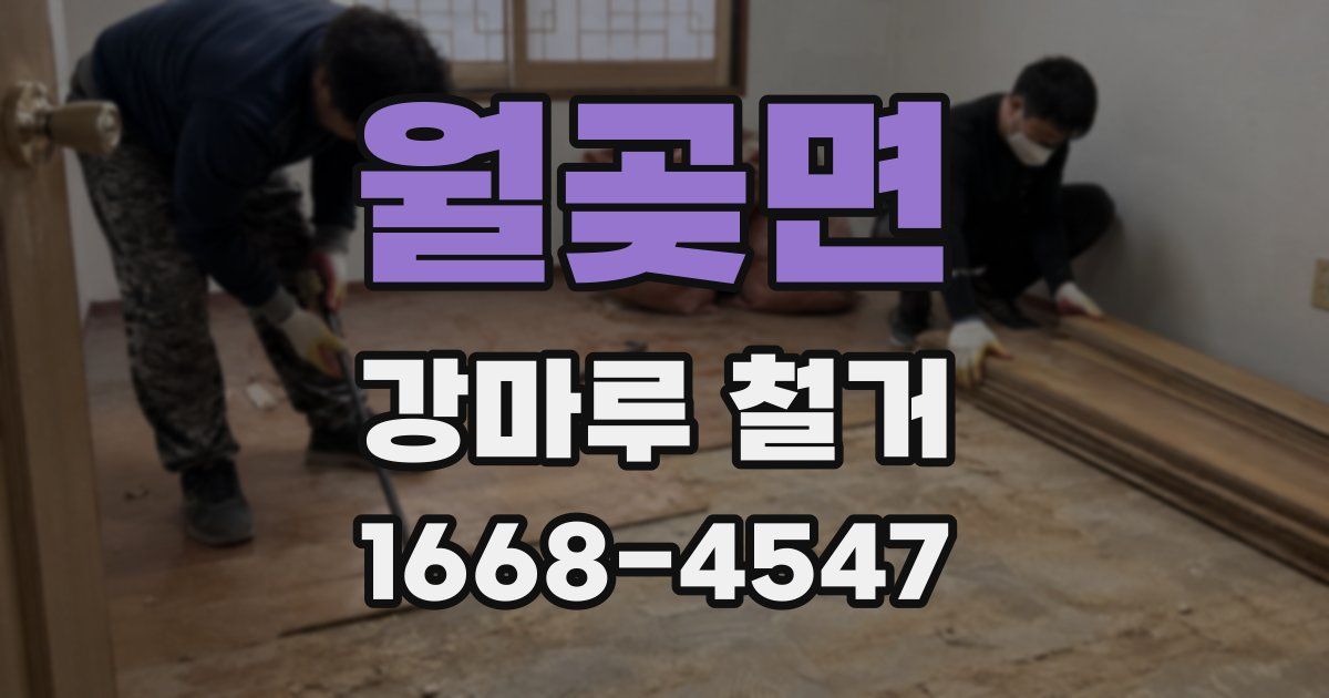 월곶면 강마루 철거