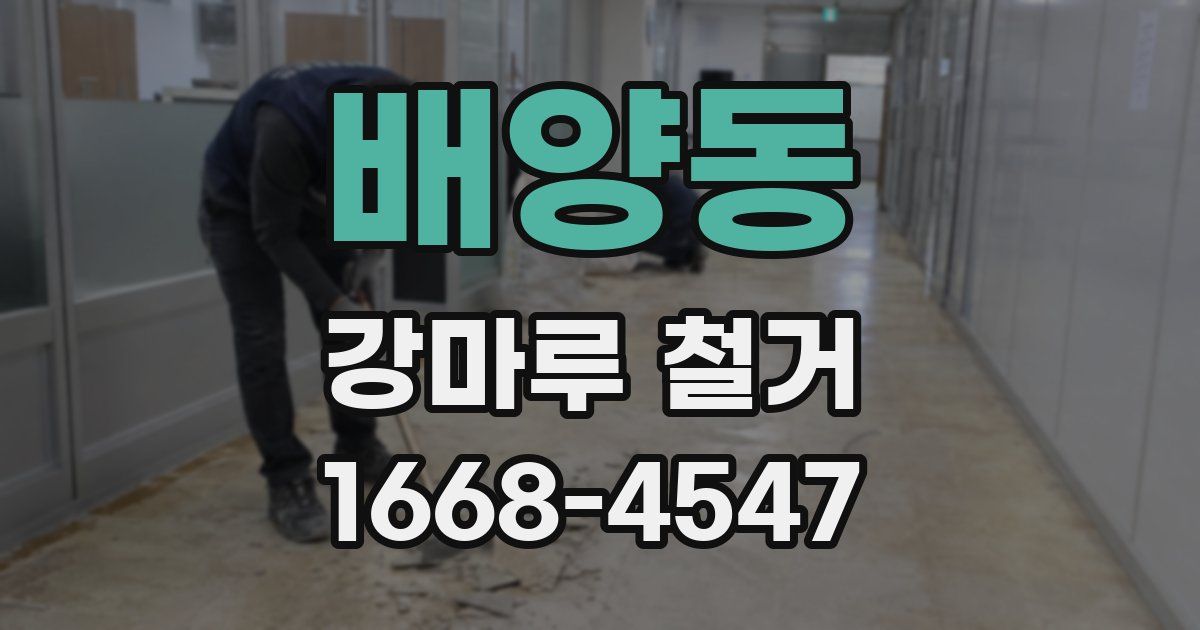배양동 강마루 철거