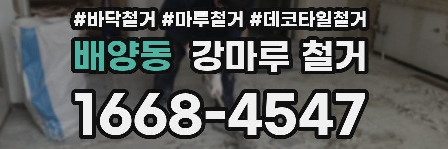 배양동 강마루 철거