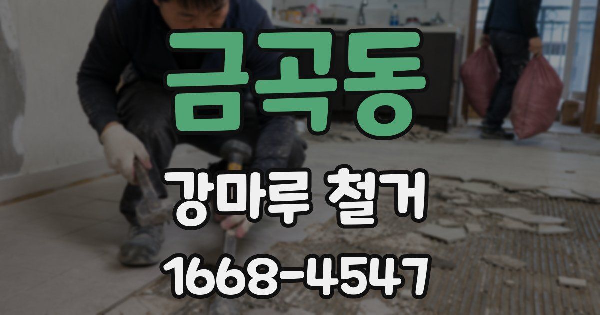 금곡동 강마루 철거