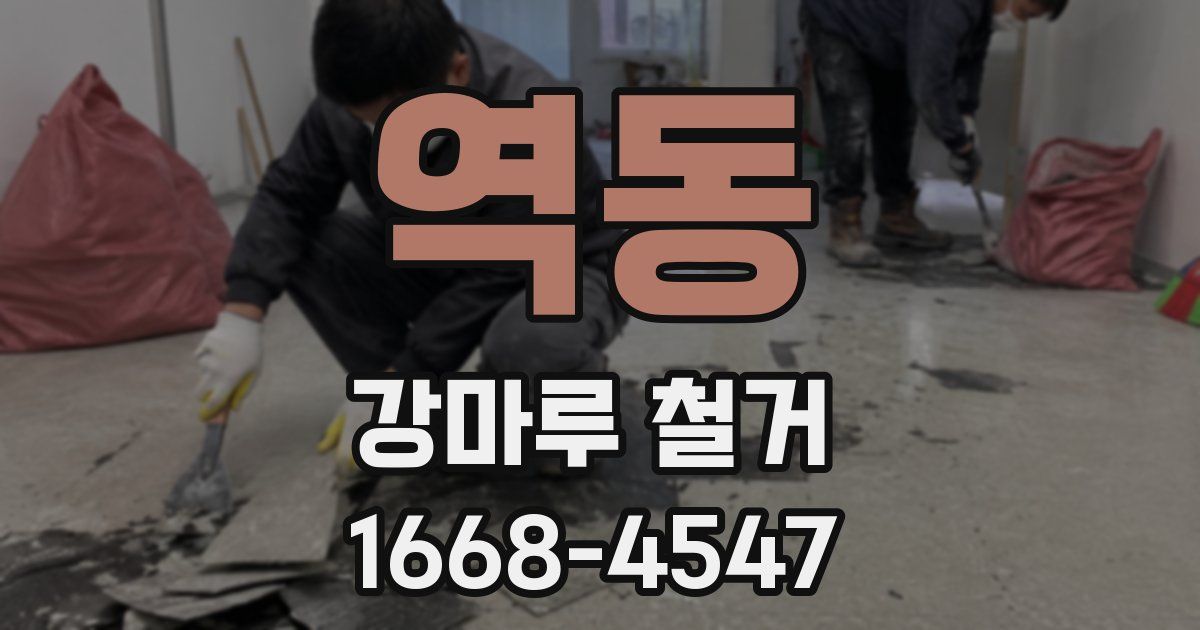역동 강마루 철거