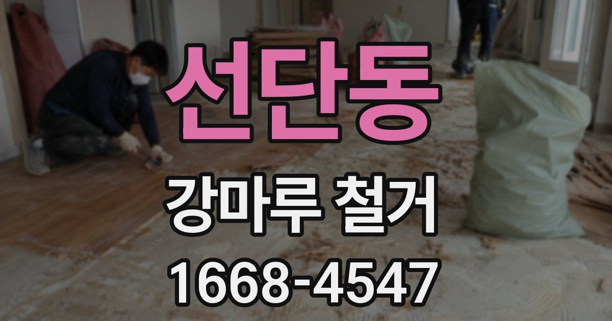 선단동 강마루 철거