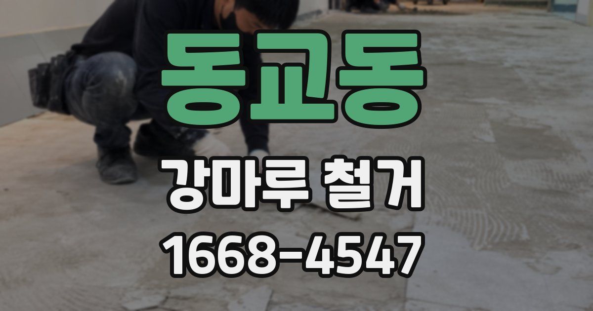 동교동 강마루 철거