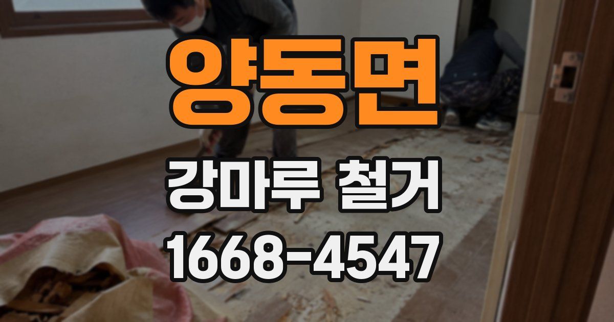 양동면 강마루 철거