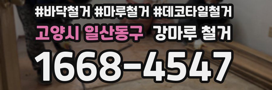 고양시 일산동구 강마루 철거