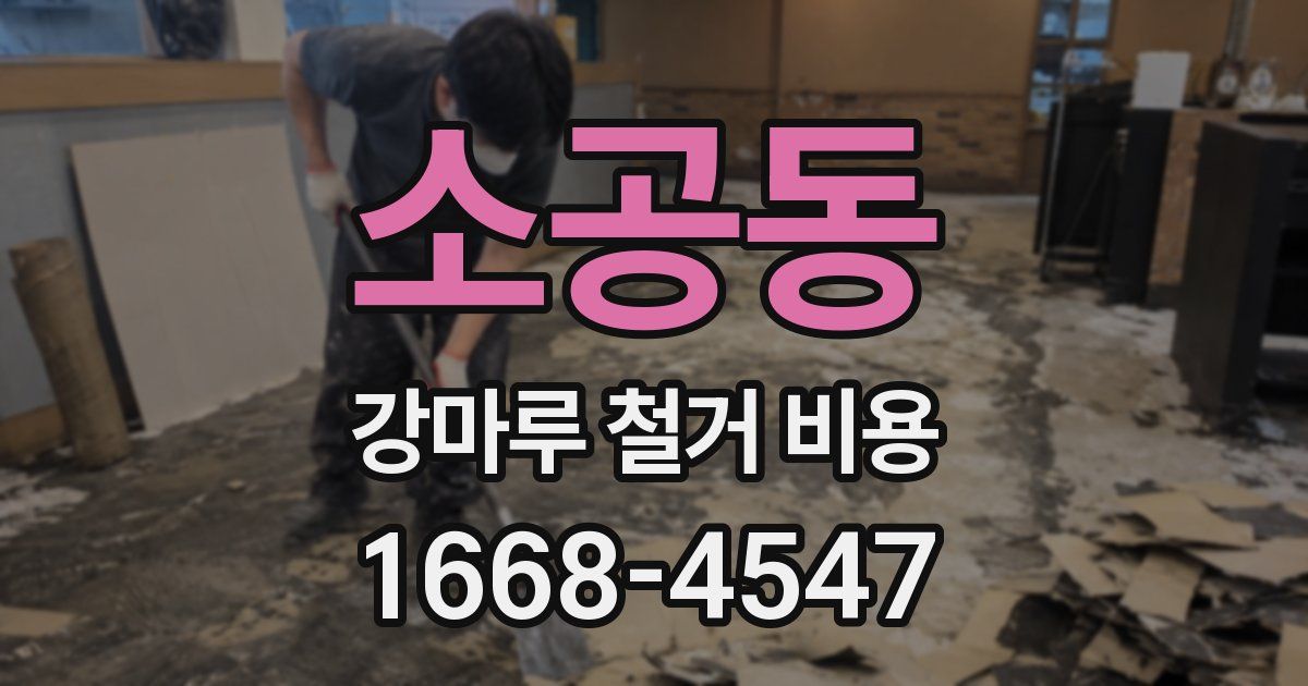 소공동 강마루 철거 비용