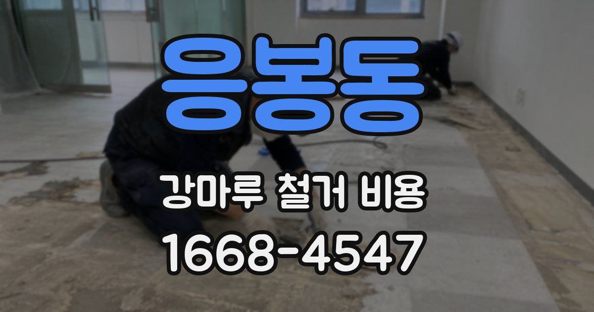 응봉동 강마루 철거 비용