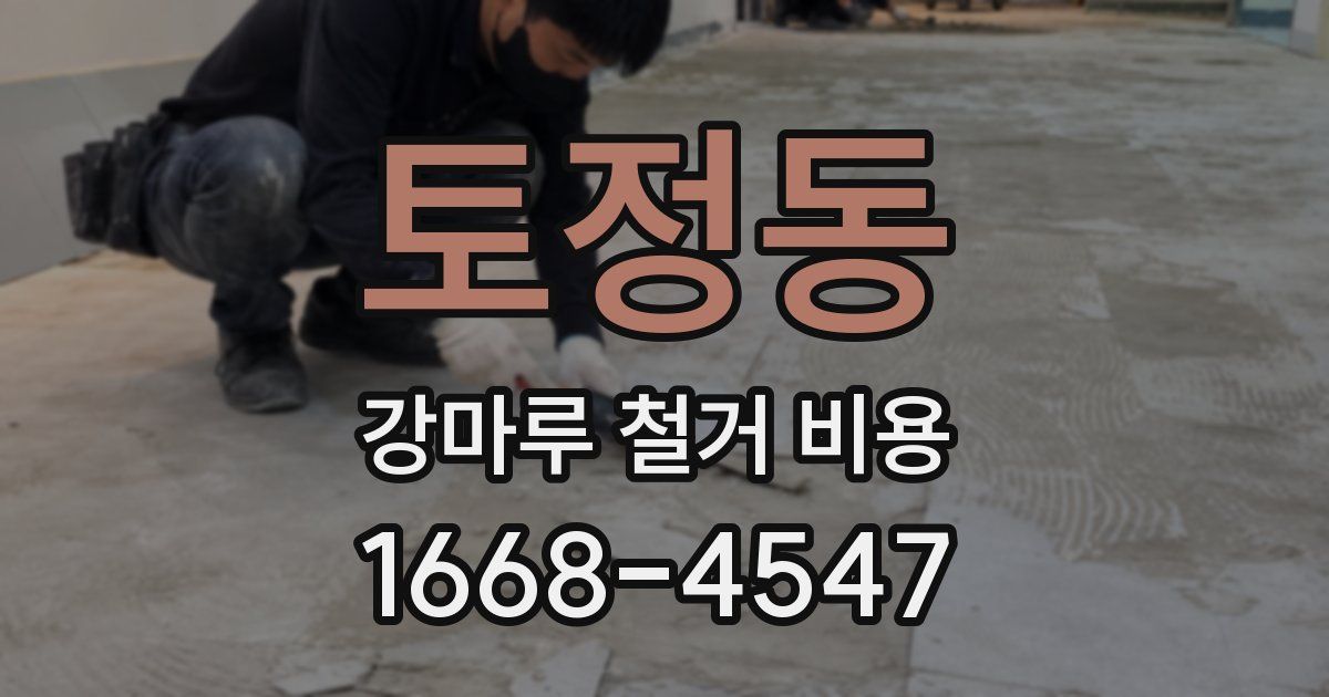 토정동 강마루 철거 비용