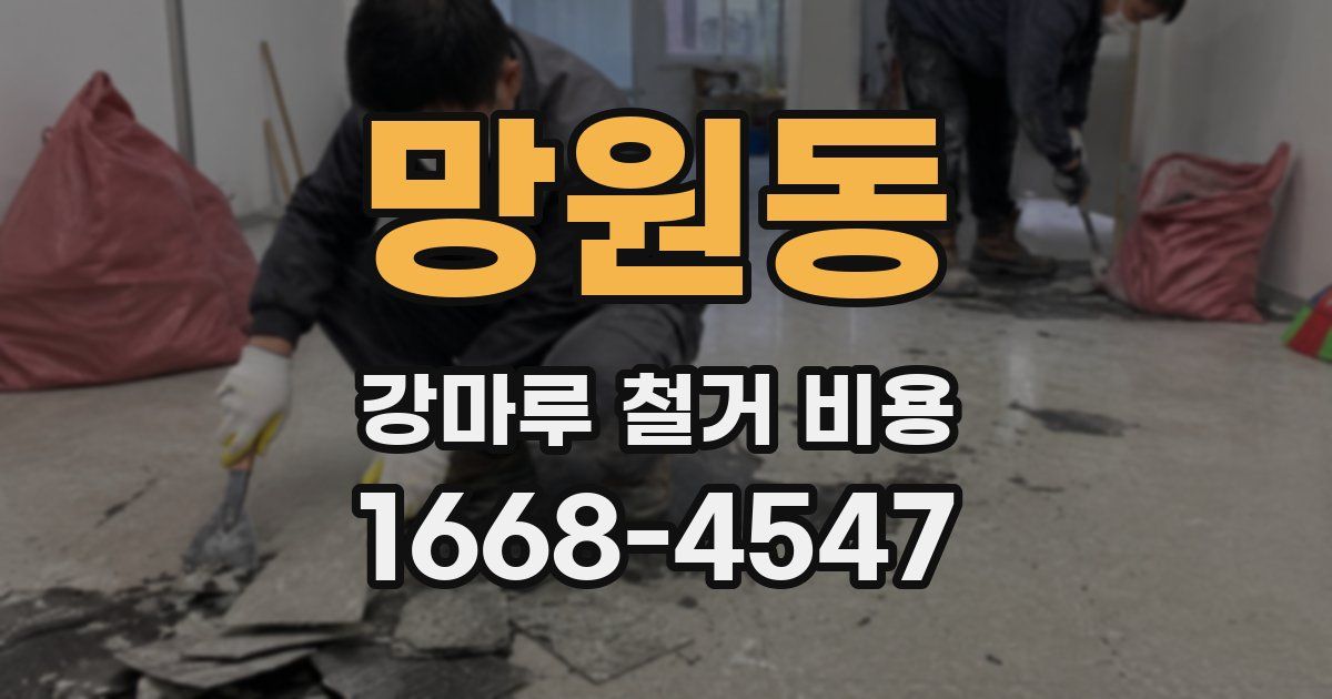 망원동 강마루 철거 비용