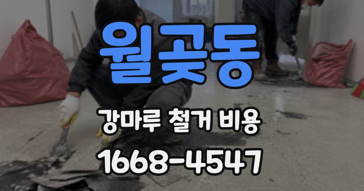 월곶동 강마루 철거 비용