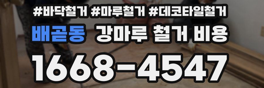 배곧동 강마루 철거 비용