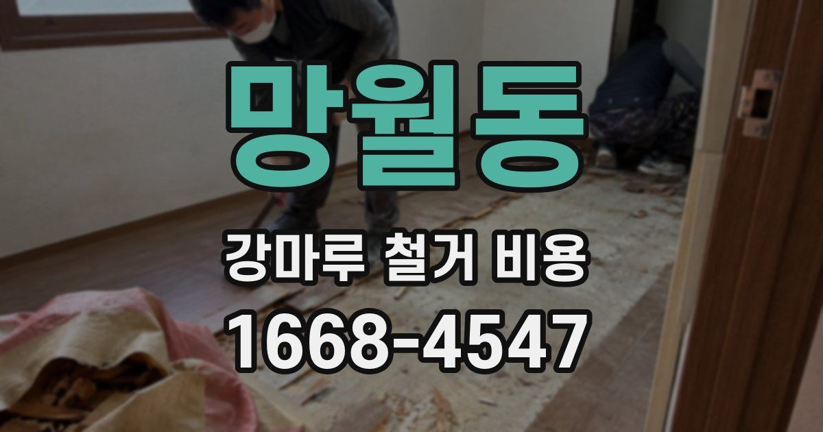 망월동 강마루 철거 비용