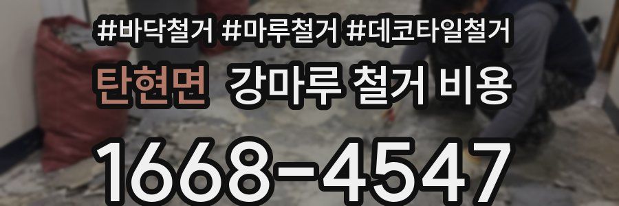 탄현면 강마루 철거 비용