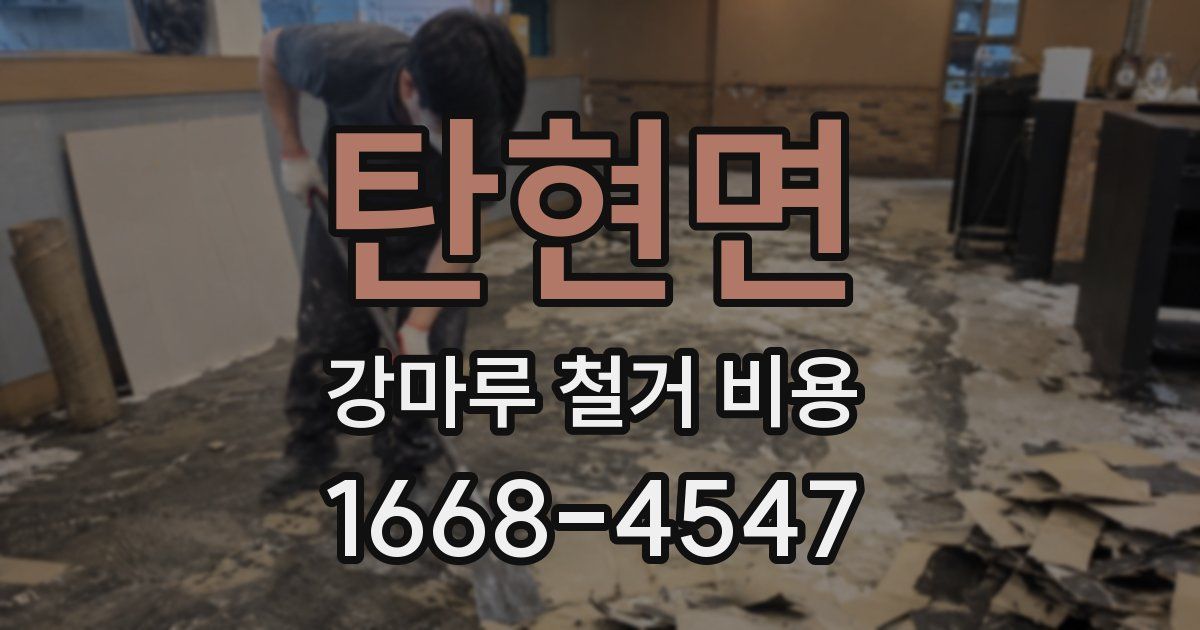 탄현면 강마루 철거 비용