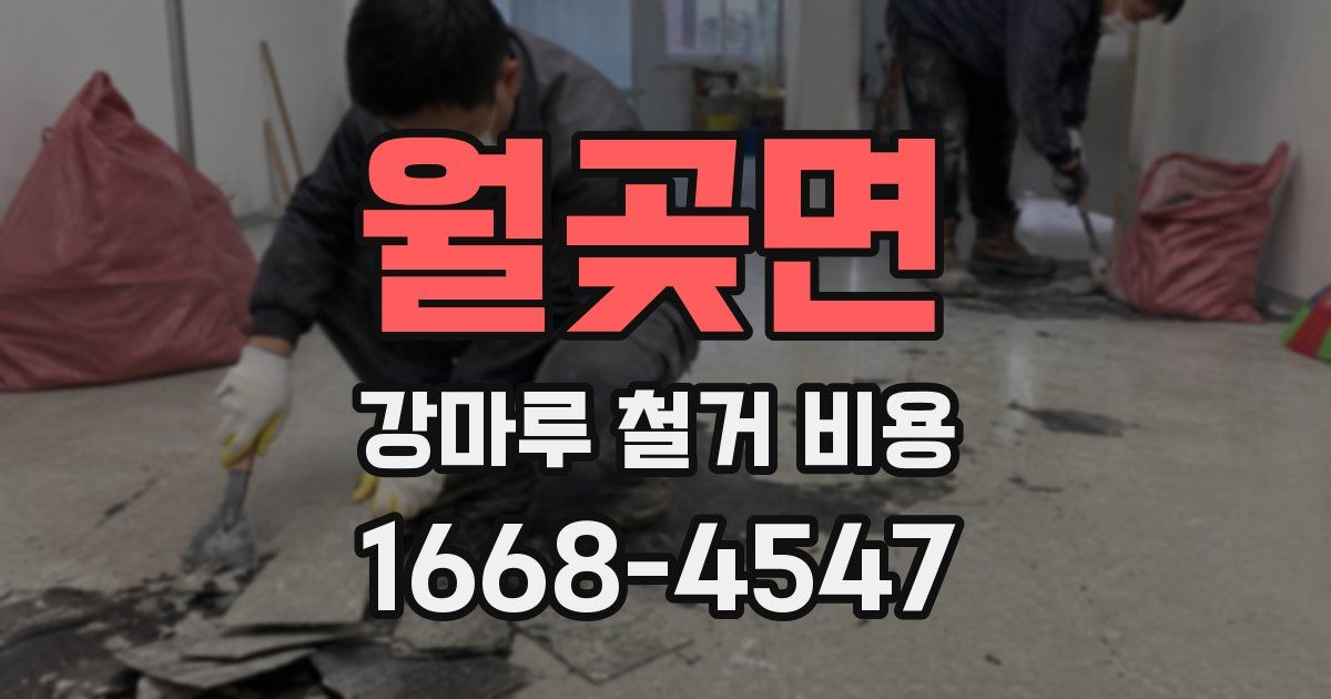 월곶면 강마루 철거 비용
