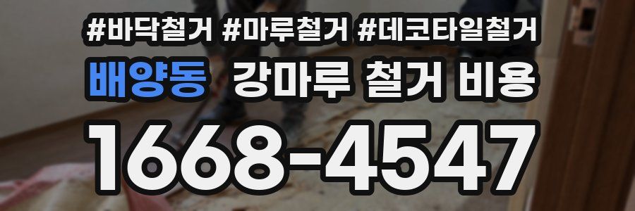 배양동 강마루 철거 비용
