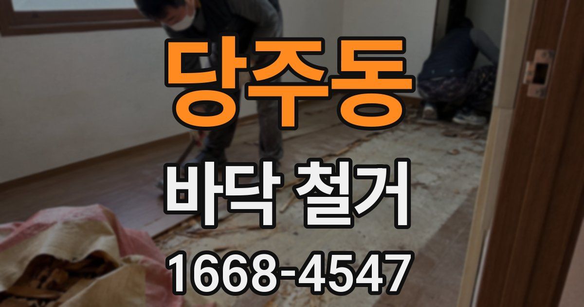 당주동 바닥 철거