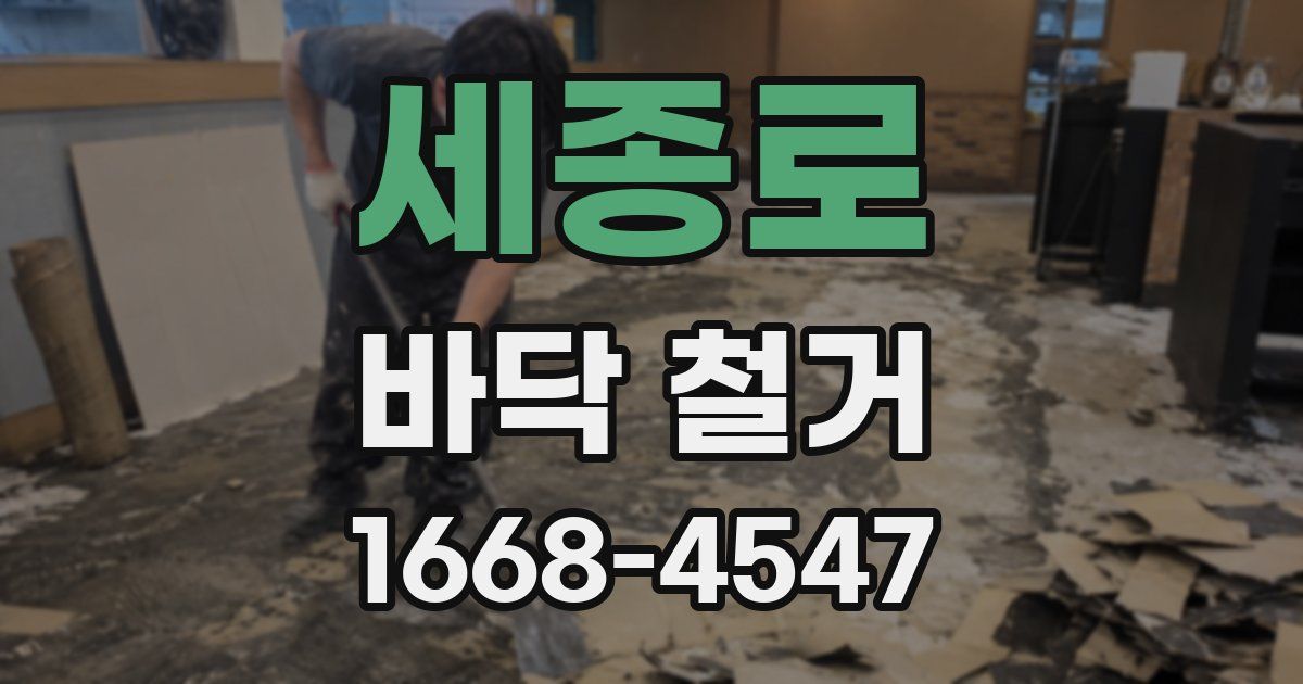 세종로 바닥 철거