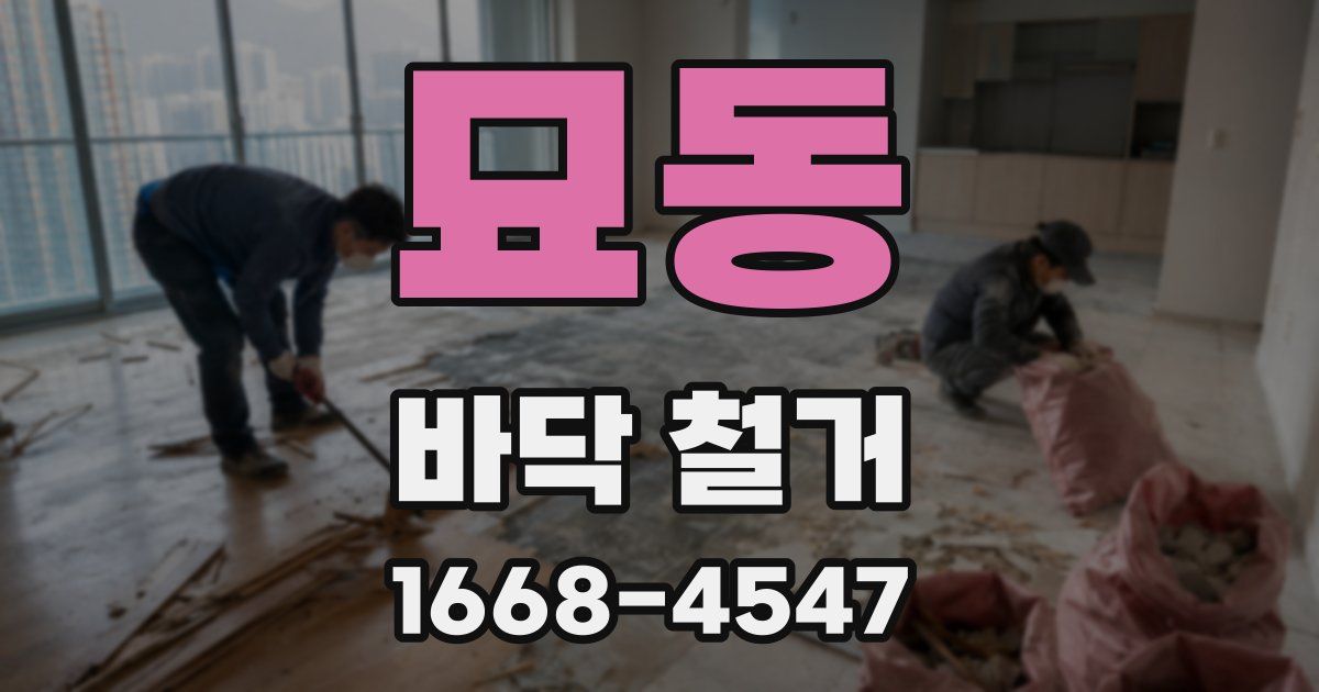 묘동 바닥 철거