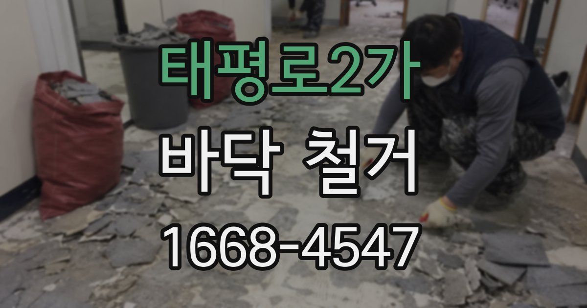 태평로2가 바닥 철거