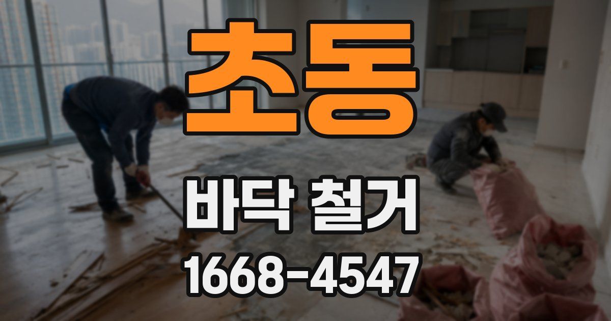 초동 바닥 철거