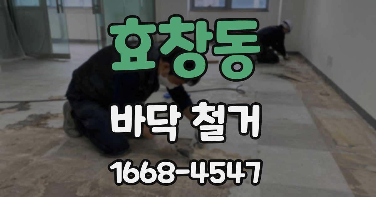 효창동 바닥 철거