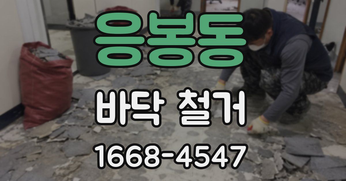 응봉동 바닥 철거