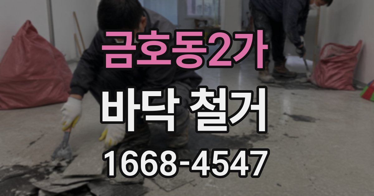 금호동2가 바닥 철거