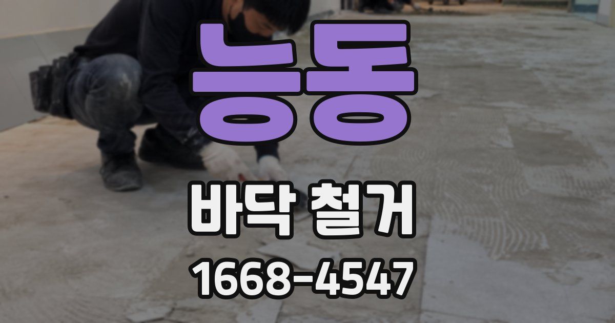 능동 바닥 철거