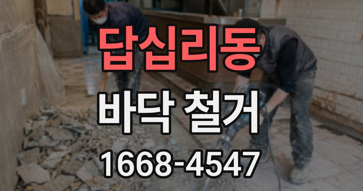 답십리동 바닥 철거