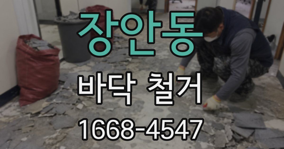 장안동 바닥 철거