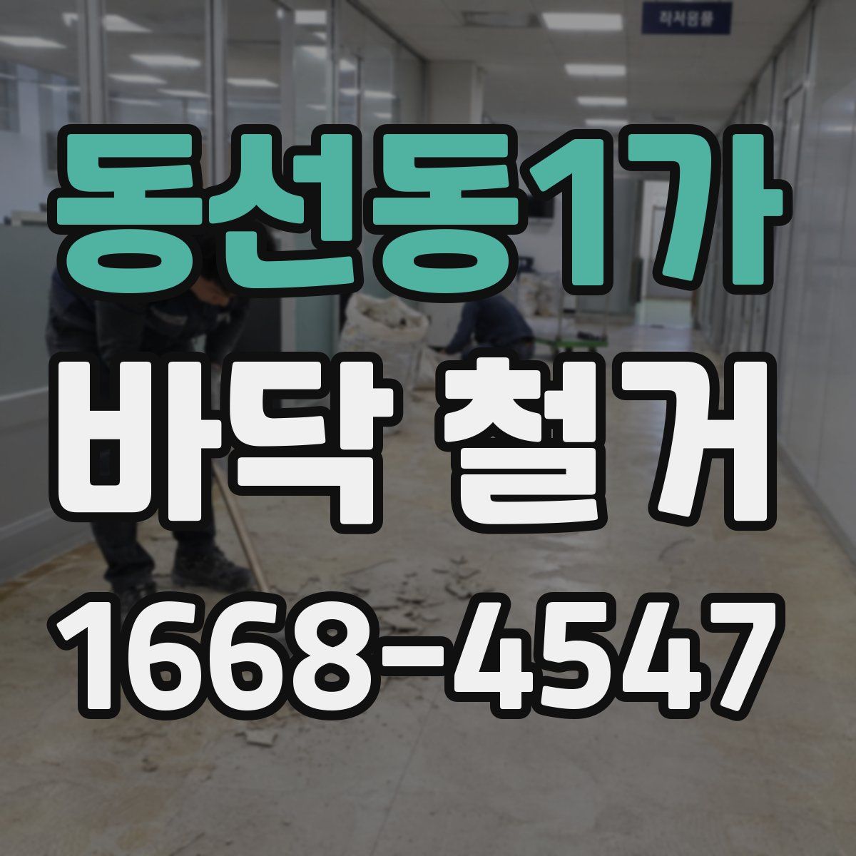 동선동1가 바닥 철거