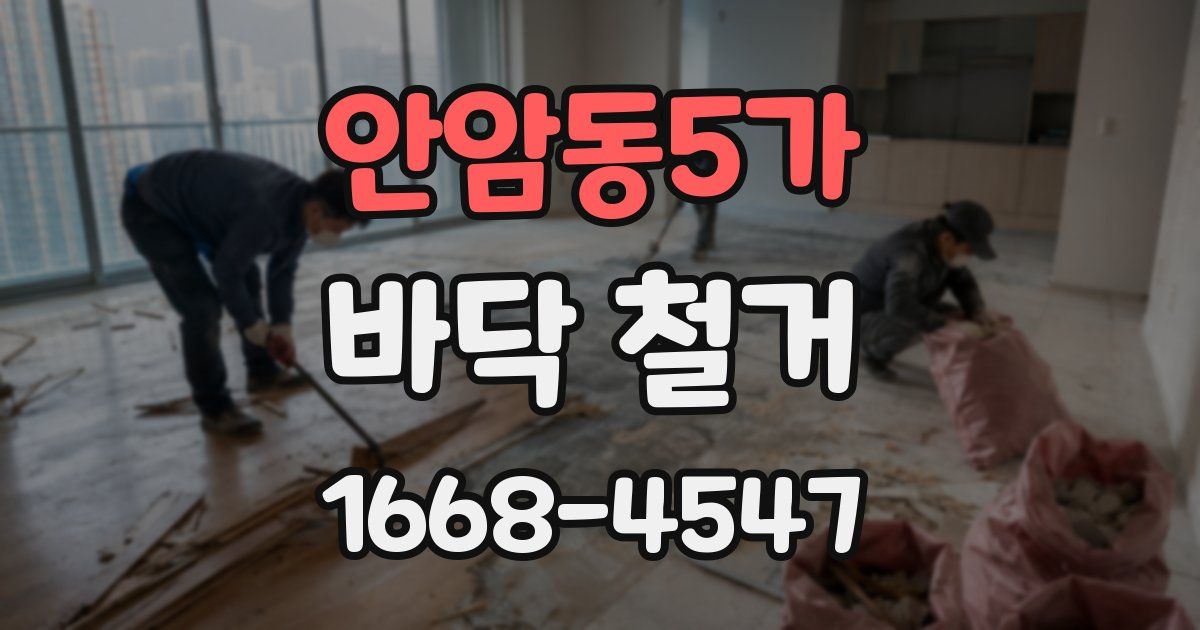 안암동5가 바닥 철거