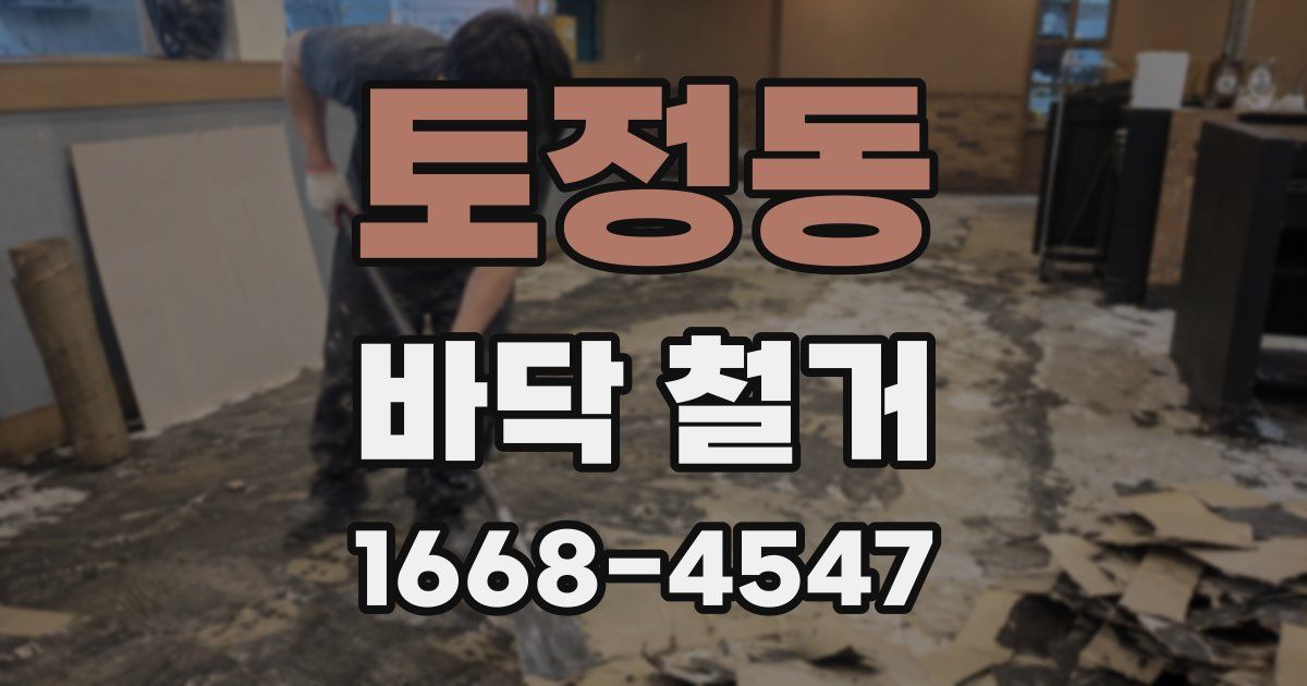 토정동 바닥 철거