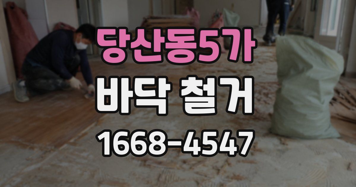 당산동5가 바닥 철거