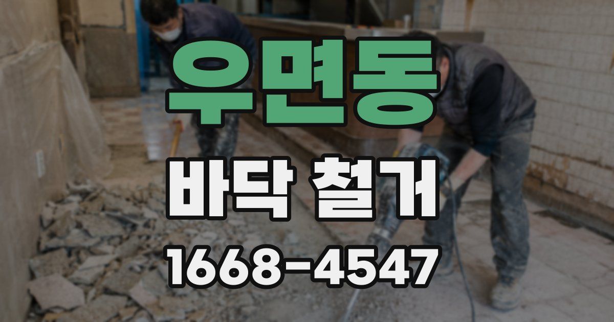 우면동 바닥 철거