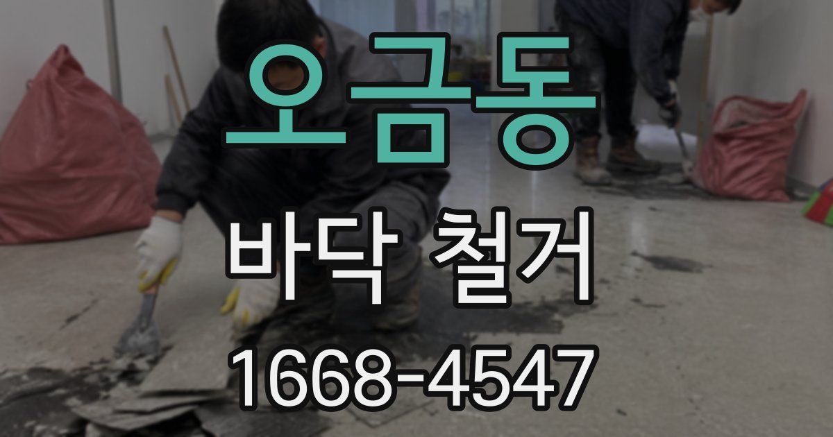 오금동 바닥 철거