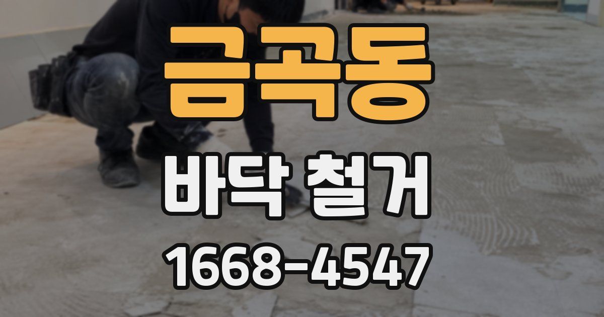 금곡동 바닥 철거