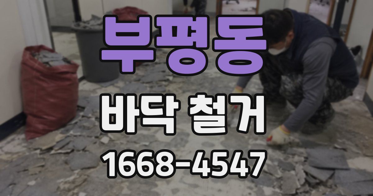 부평동 바닥 철거