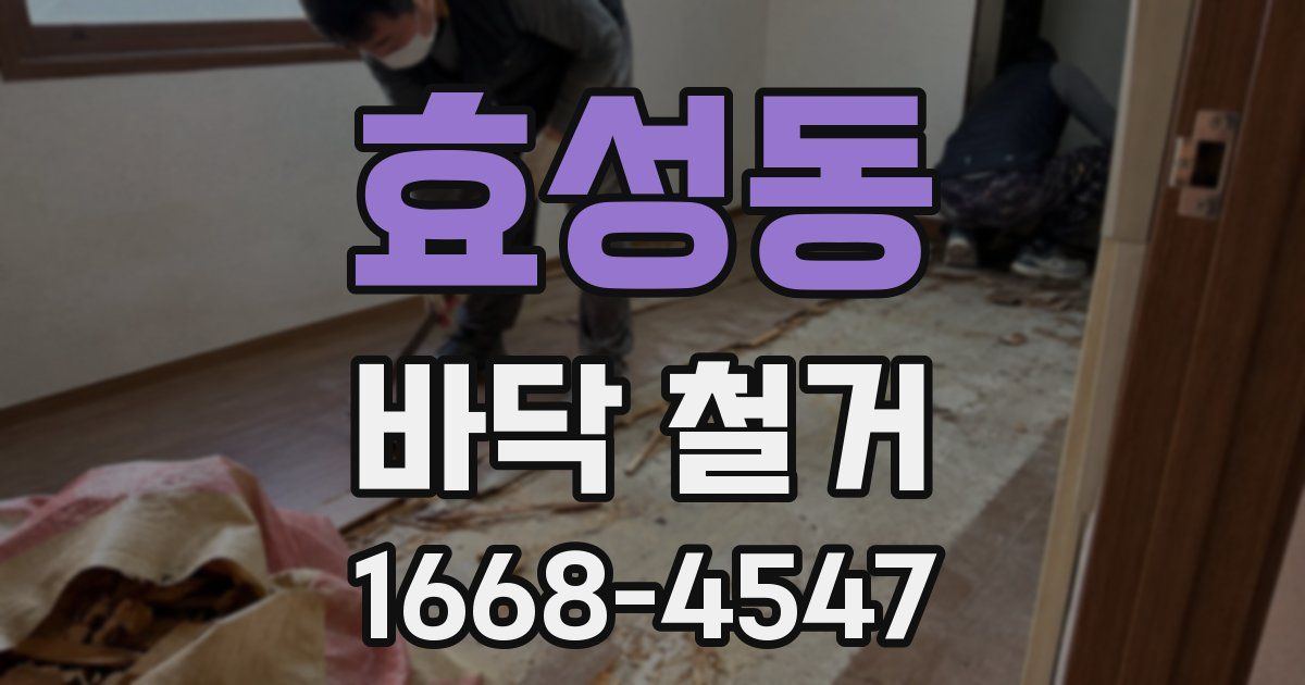 효성동 바닥 철거