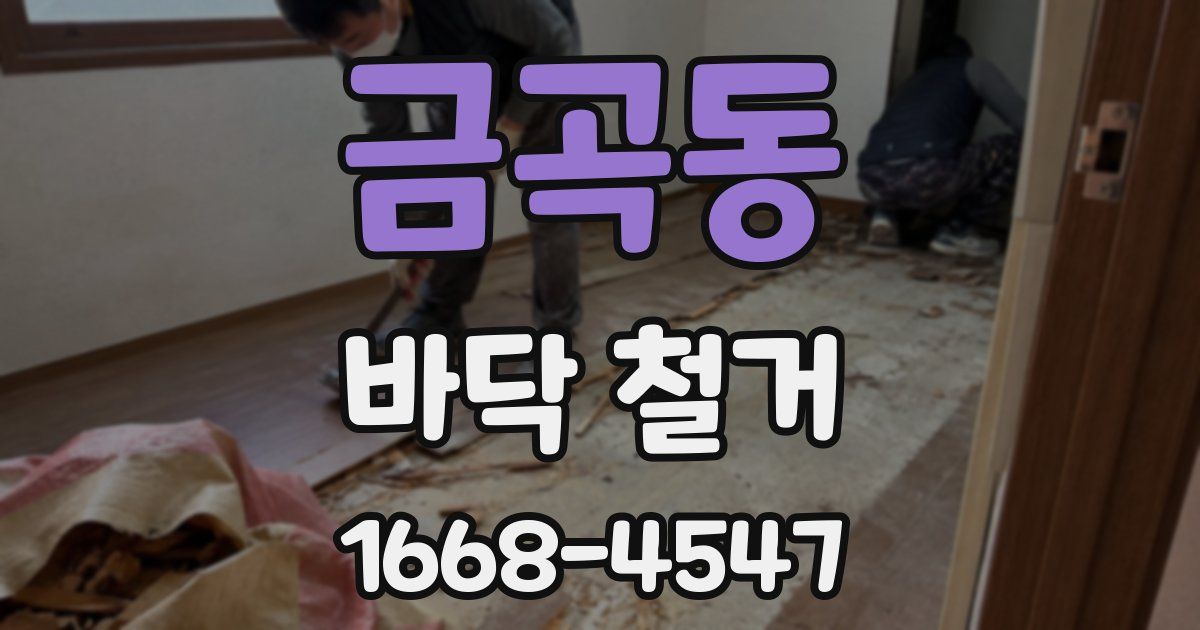 금곡동 바닥 철거